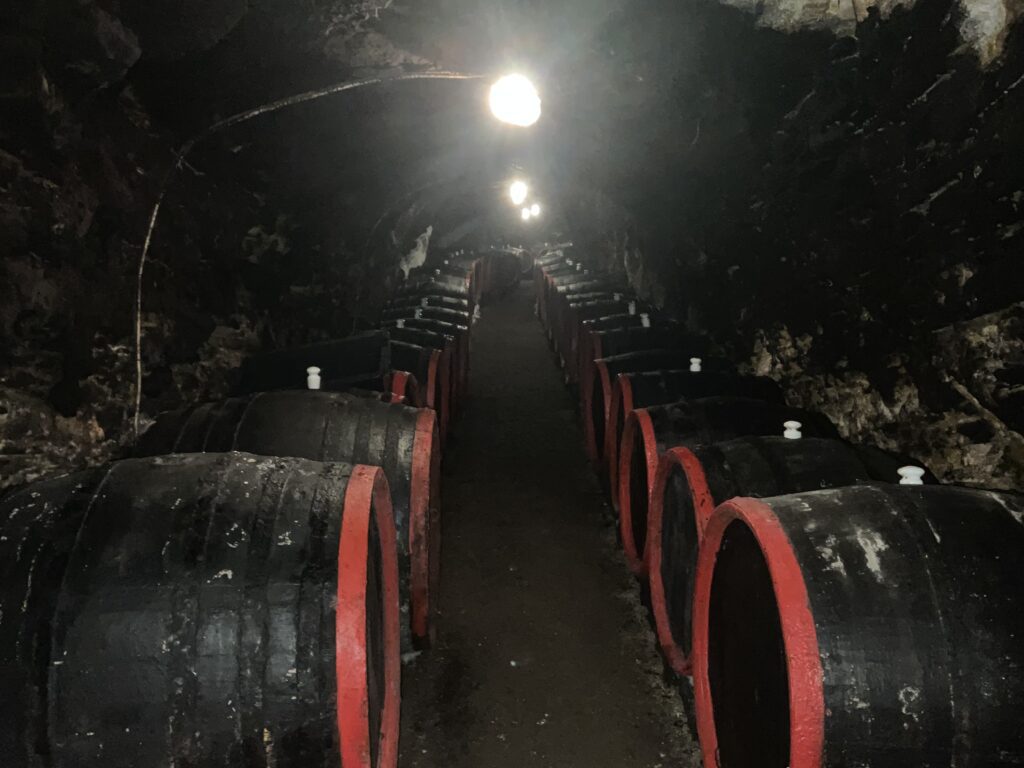 Budanyi Janos Wine Cellar