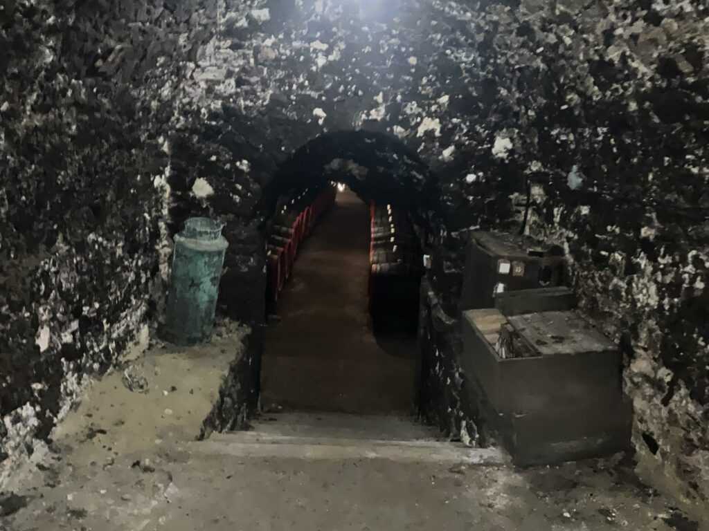 Wine Cellar Entrance Stairs